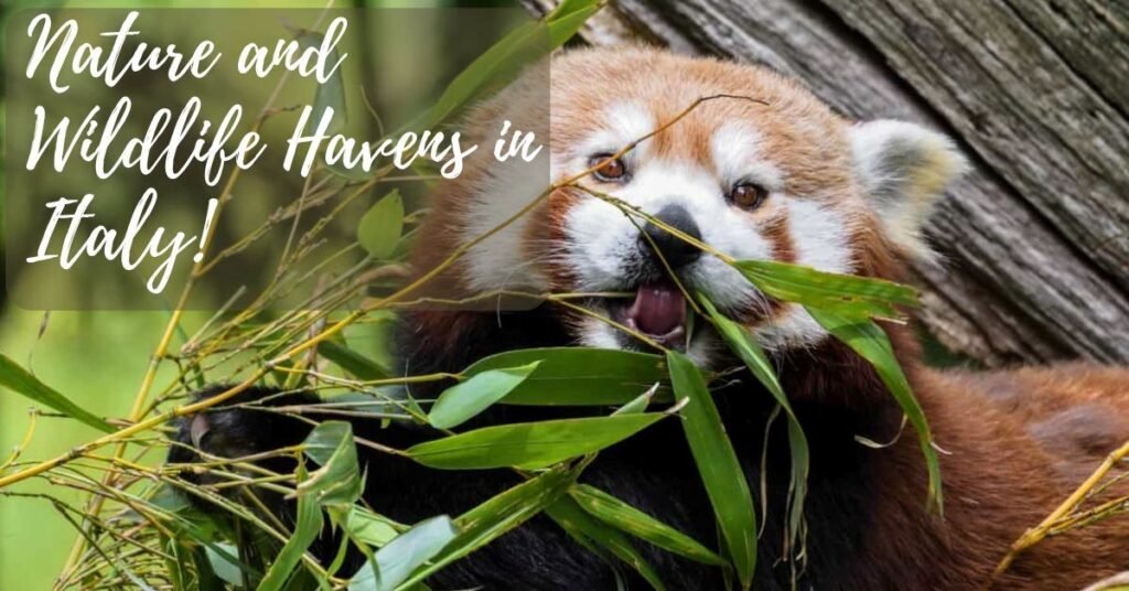 Nature and Wildlife Havens in Italy