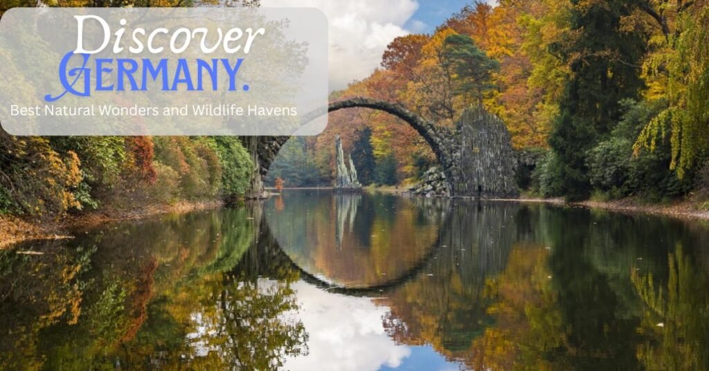 Best Natural Wonders and Wildlife Havens