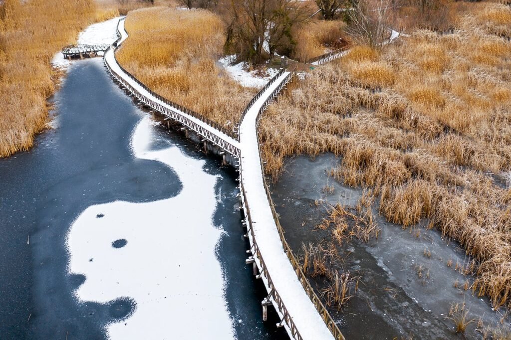 Kopački Rit: Wetland Paradise