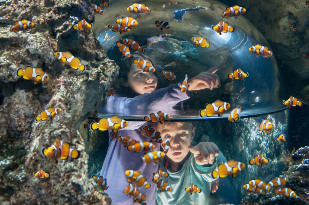 SEA LIFE Konstanz