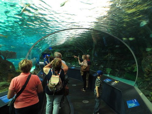 The Ripley's Aquarium of Canada