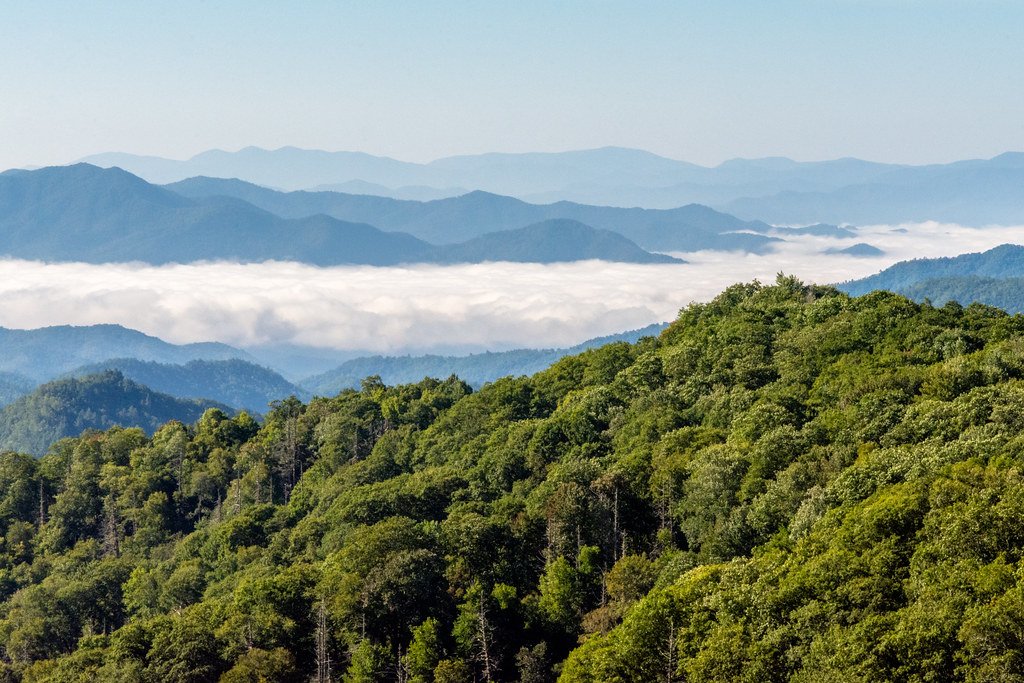 Great Smoky Mountains National Park: America's Most Visited National Park