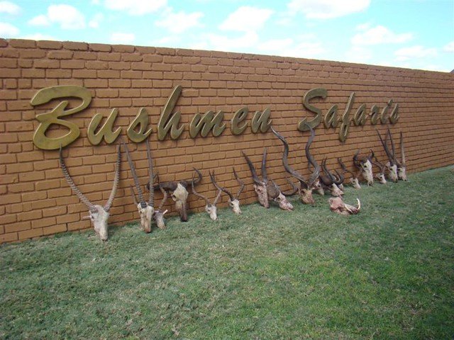 Shamwari and Kwandwe private reserves offer specialized "Kids on Safari"