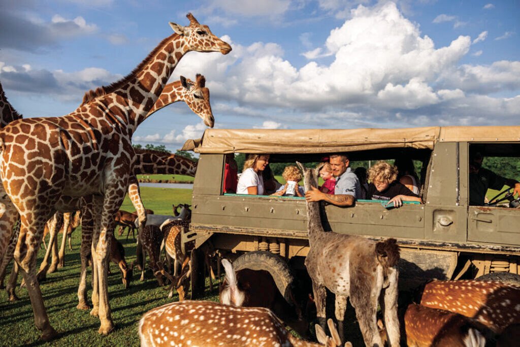 The Okavango Delta  water-based safaris that particularly appeal to children 
