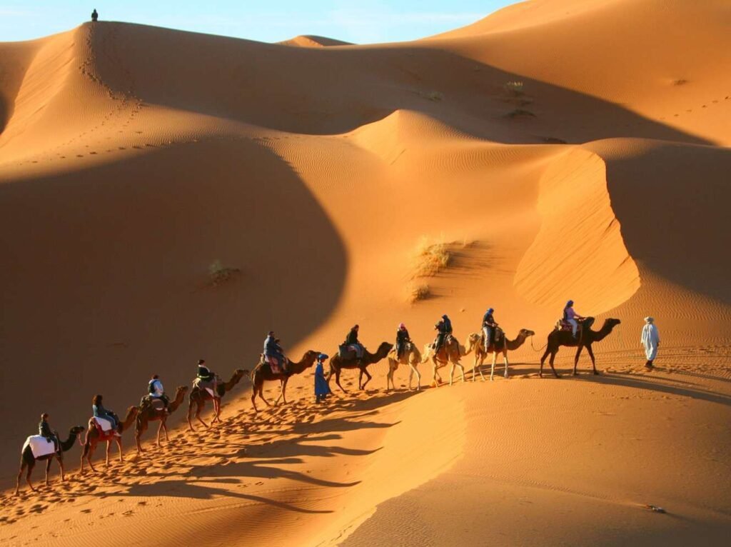 Camel riding in Essaouira - Morocco