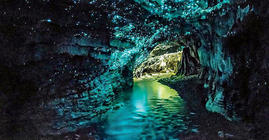 New Zealand's Waitomo Glowworm Caves 