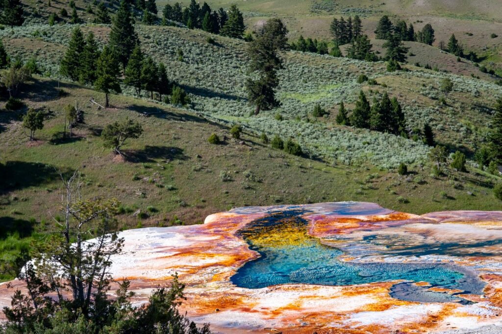 Yellowstone National Park -USA