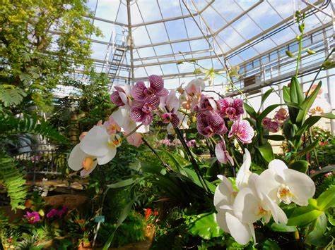  Taman Anggrek Wiladatika – Orchid Garden Retreat