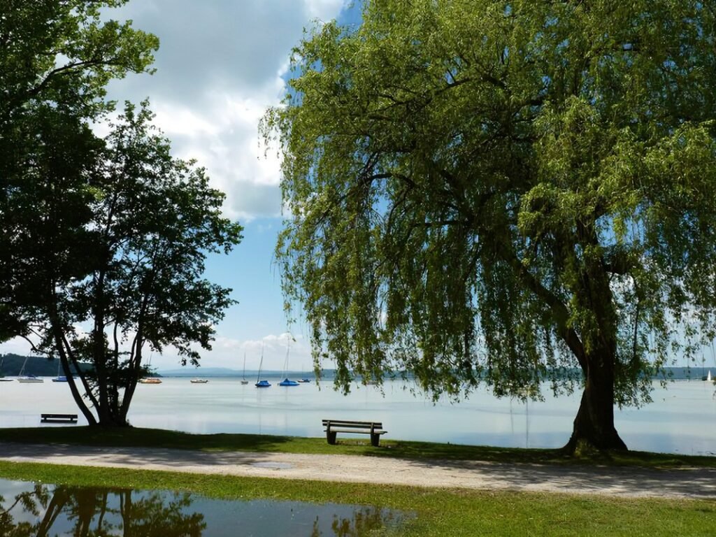 seepromenade konstanz