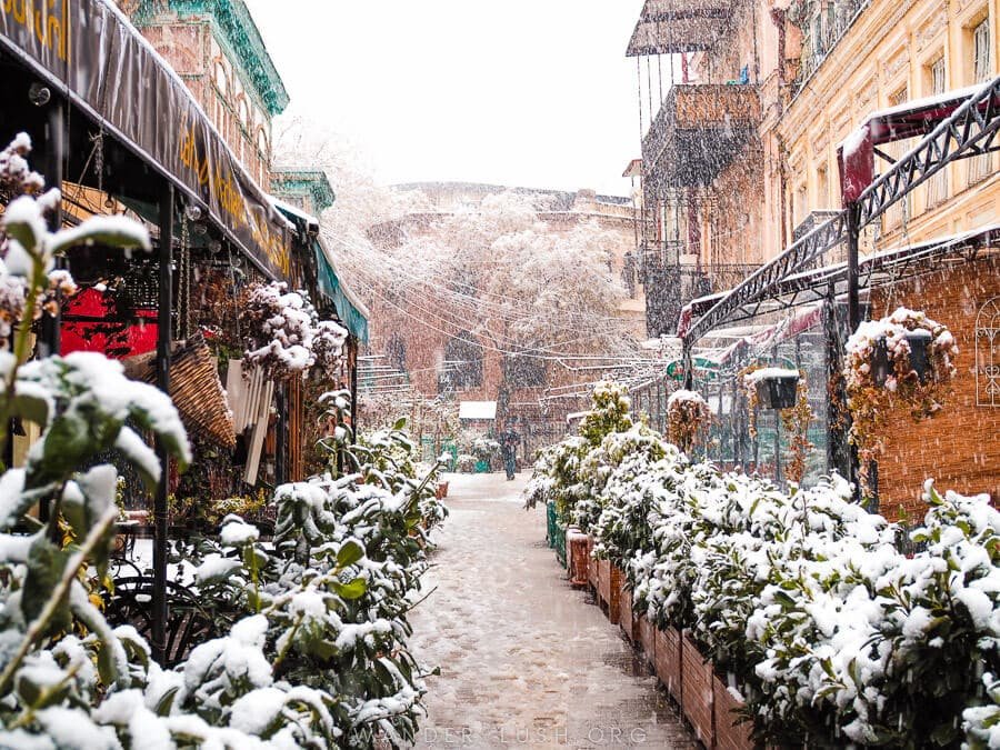 winter time in georgia tbilisi