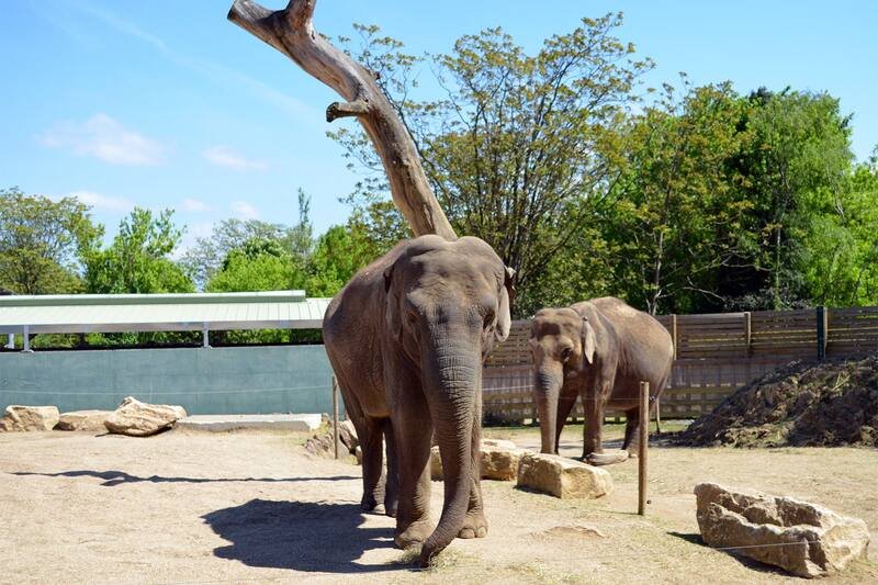 Budapest Zoo