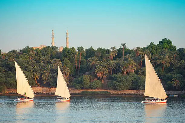  A felucca sailboat ride on the Nile