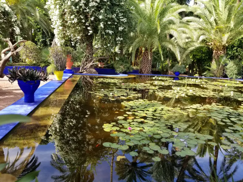  Anima Garden just outside Marrakech