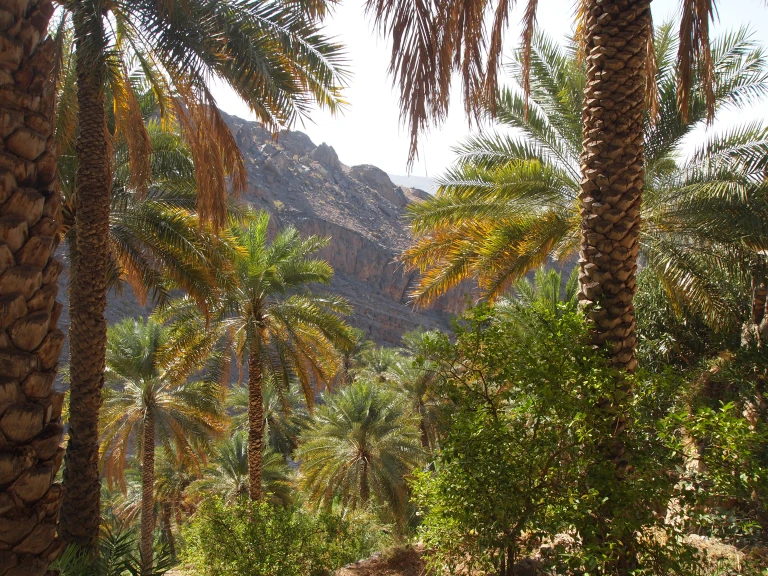 hajar mountains oman
