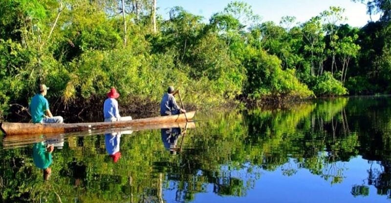 Amazon: Jungle Adventures for Curious 