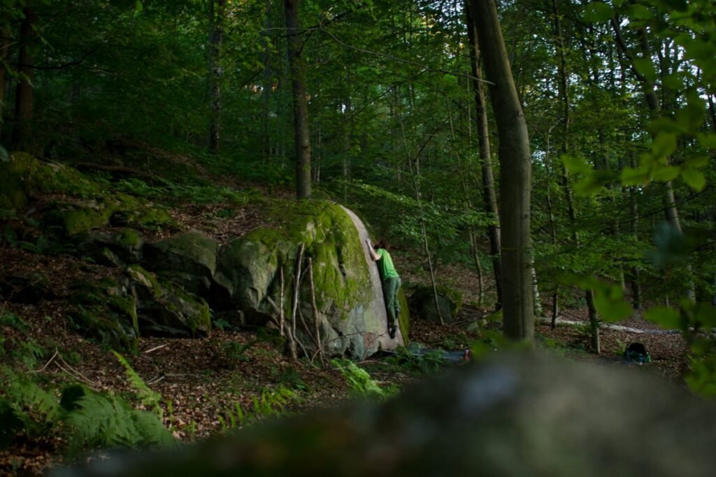 Änggårdsbergen Nature Reserve