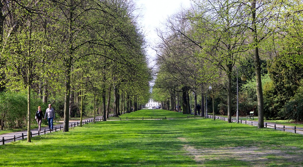 Tiergarten's quiet paths for contemplative walks
