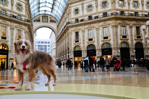 Milan, Italy
