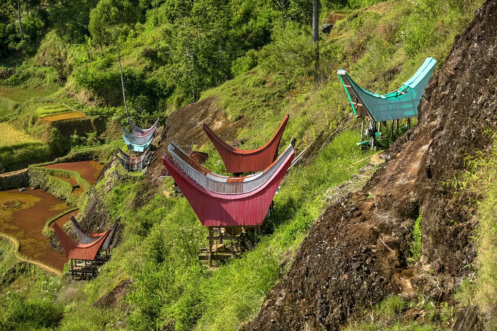 The famous Tongkonan houses, with their distinctive boat-shaped roofs
