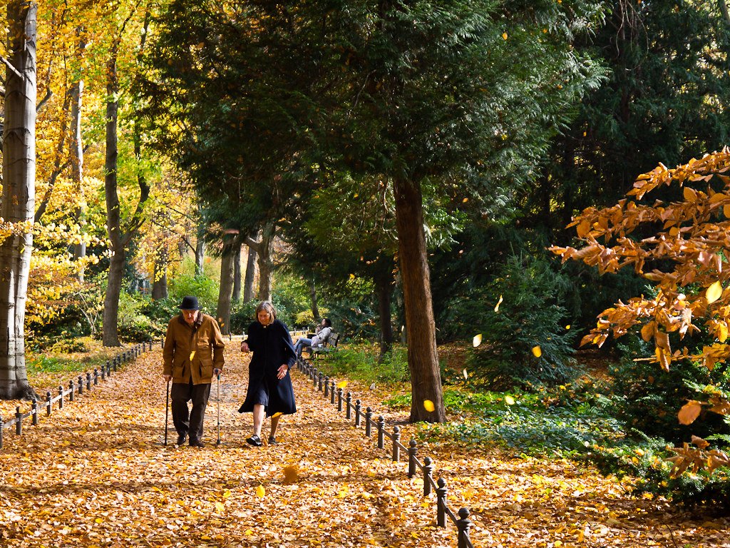Community gardens for natural tranquility