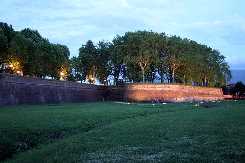 Lucca’s tree-lined city walls
