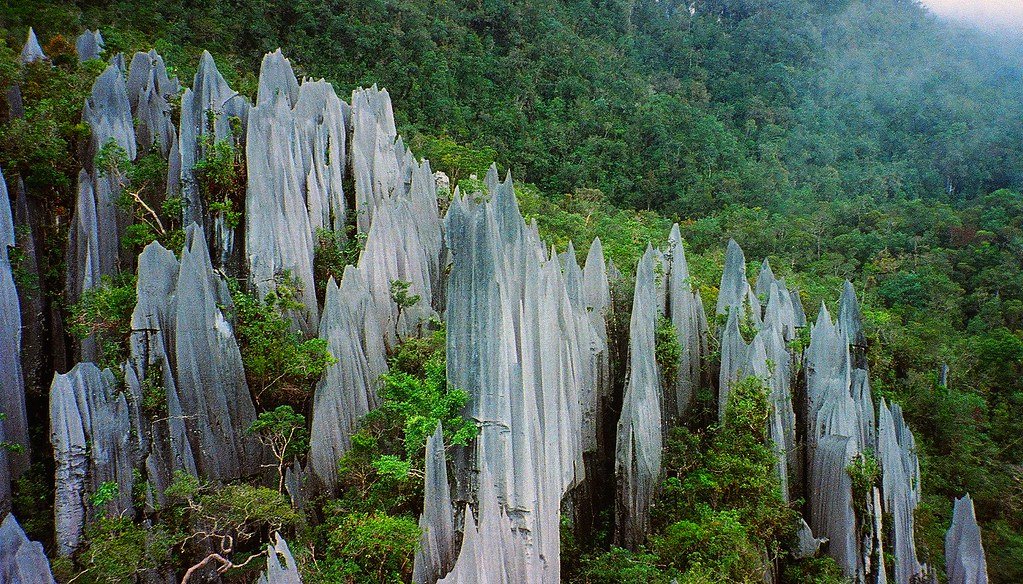 Borneo: Nature’s Masterpiece