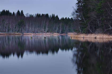 Stockholm Archipelago - Nature's Hidden Kingdom