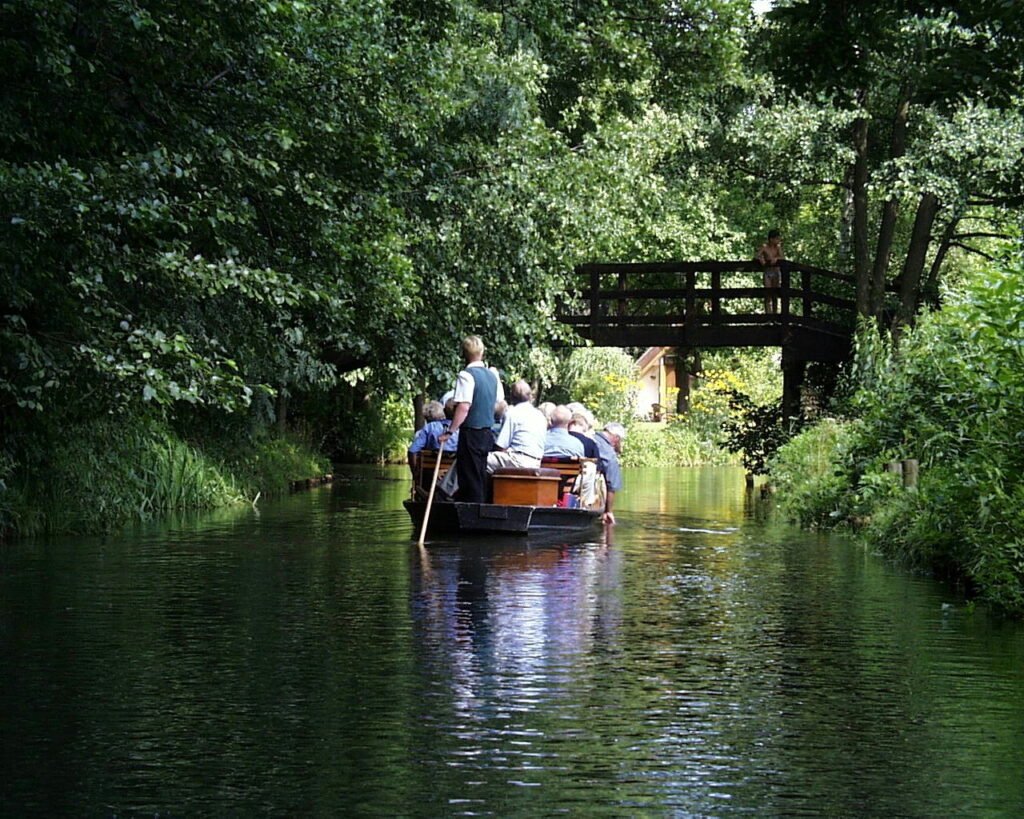 Spreewald forest