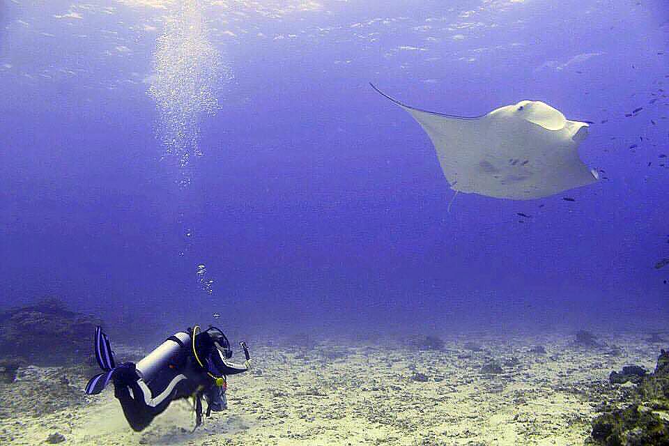  Tofo, Mozambique: Manta Rays & Untamed Beauty