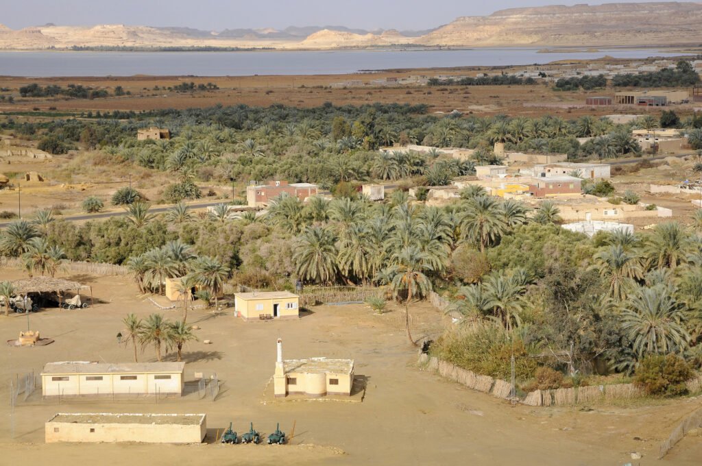 The Siwa Oasis