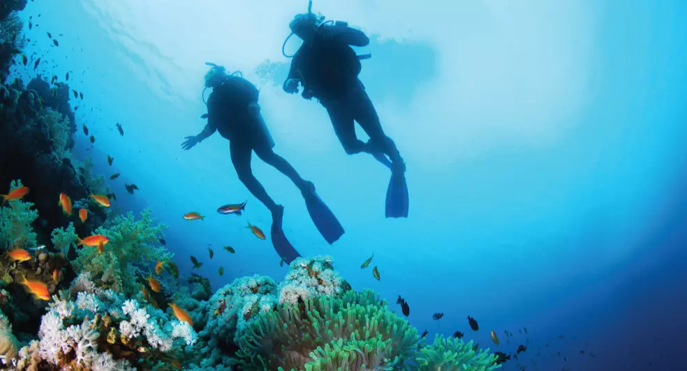 Secret Scuba Spots