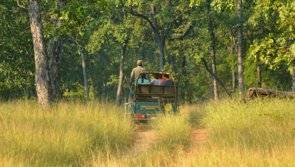 Wildlife Safaris - Nepal