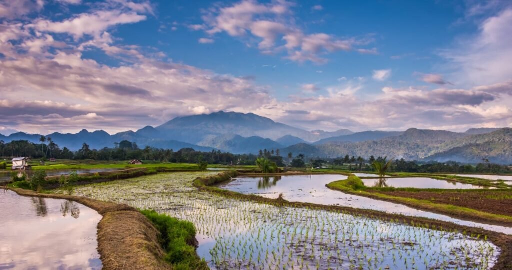 Indonesia – Tropical Paradise