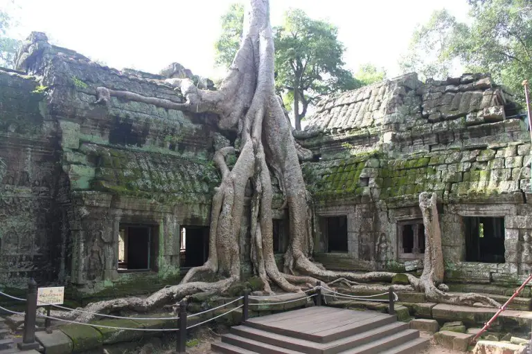 Lin Fong Temple: Tranquility Amidst Chaos