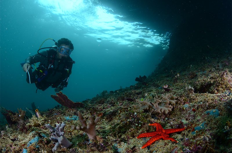  Alor, Indonesia: (For Experienced Divers)