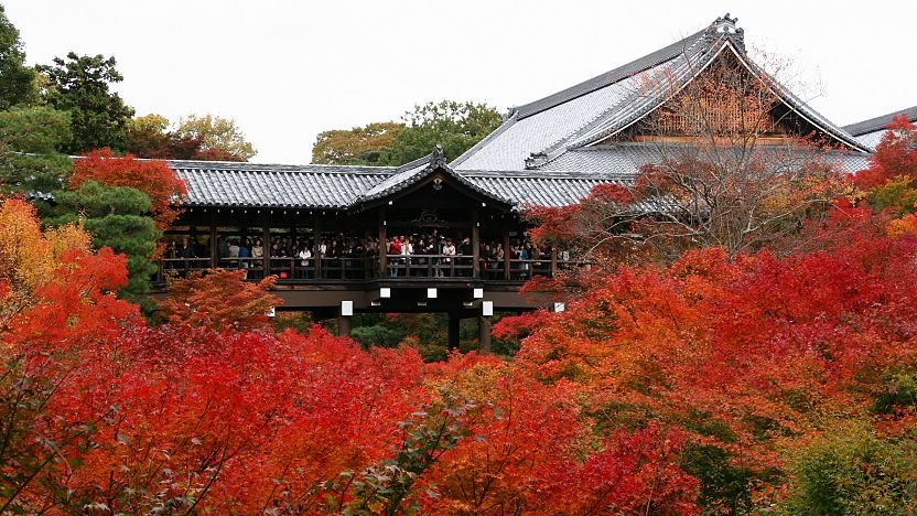 Tofuku-jifi Autumn Temple