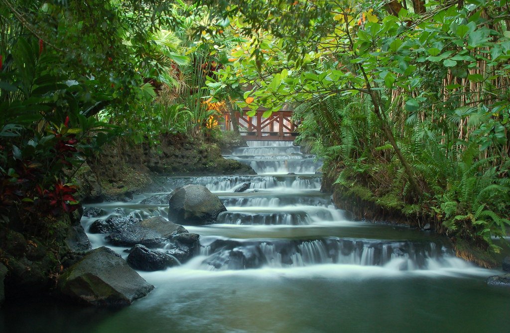 Costa Rica: Natural Classroom
