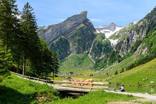 Appenzell: Rolling Hills & Cowbells