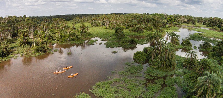 Amazon Rainforest Expeditions