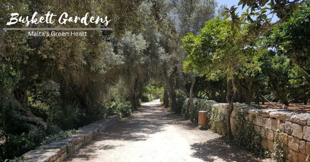 Buskett Gardens