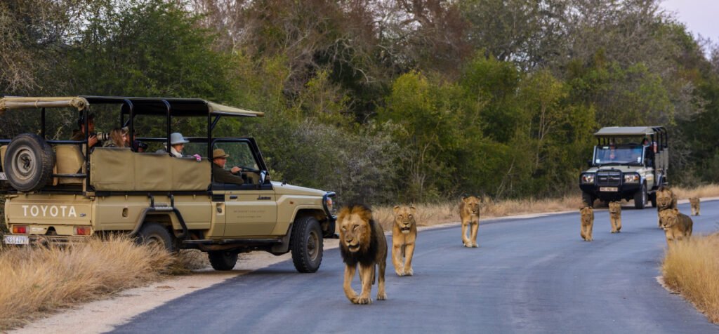 Kruger National Park, South Africa