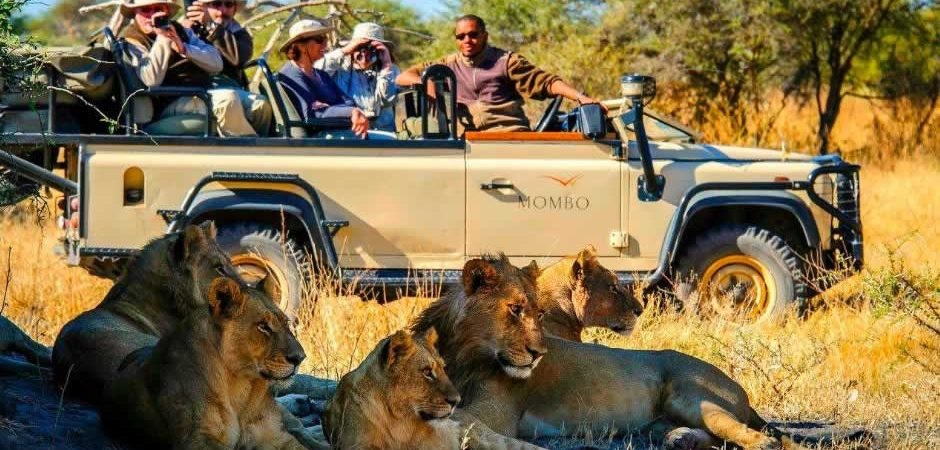 Maasai Mara, Kenya: The Roar of the Wild