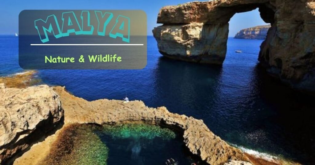 Malta's Untamed Paradise