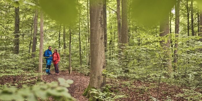 Nature Walks