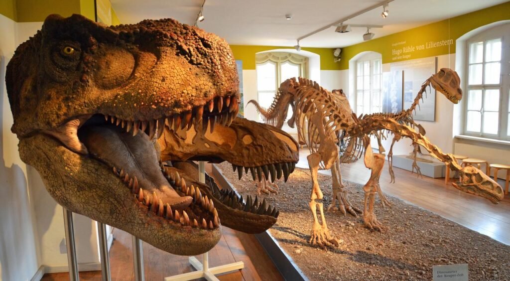 European cultural experiences world-class museums
