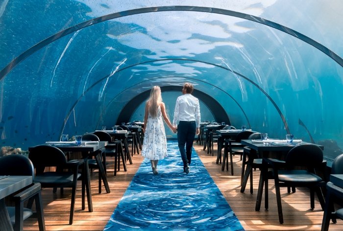 The Maldives Glass Room Paradise Beneath the Waves
