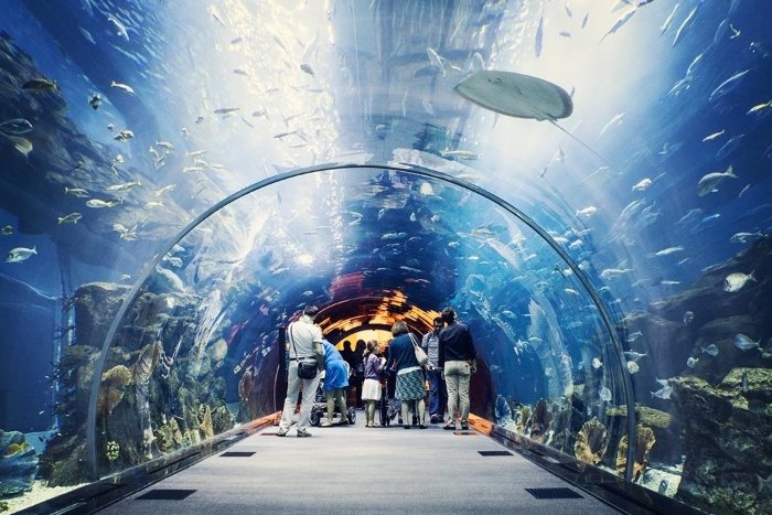 Dubai-Underwater Entertainment Resorts