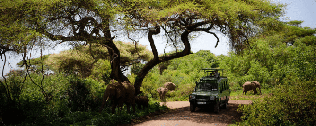 Serengeti National Park, Tanzania