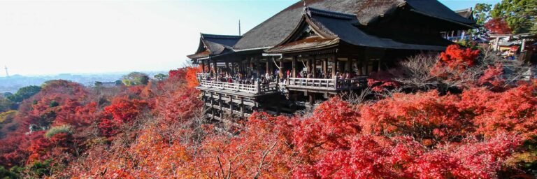 Top Cultural Experiences in Kyoto