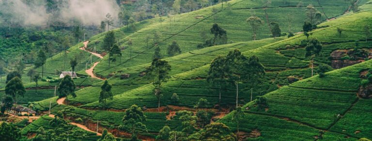 Sri Lanka's hidden treasures